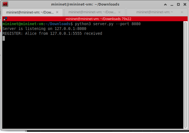 TCP-based peer-to-peer chat system preview